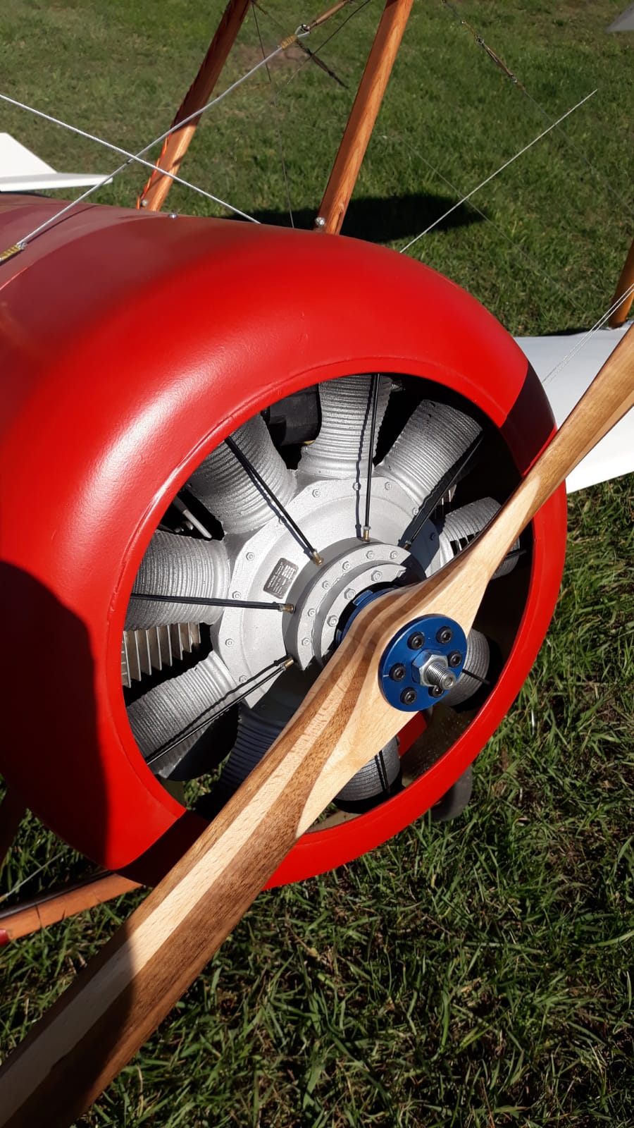 Dřevěná vrtule model